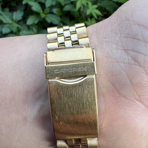 瑞士CATOREX卡圖萊斯男士全自動機械手錶