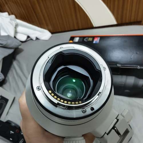 Sony 100-400 f4.5-5.6 gm