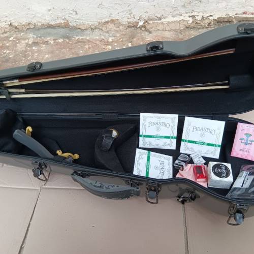 Yamaha  SV-200電子小提琴