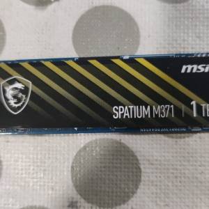 MSI SPATIUM M371 NVMe M.2 SSD 1TB