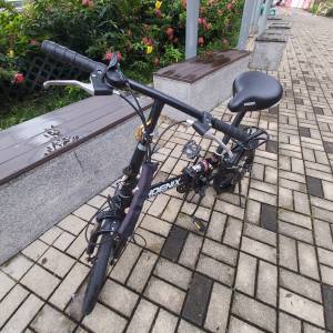 16吋鳳凰牌碟刹有波摺疊單車