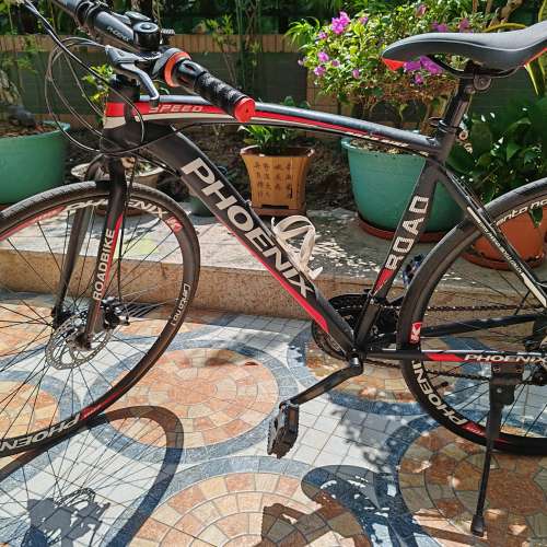 Phoenix Roadbike 平把公路車
