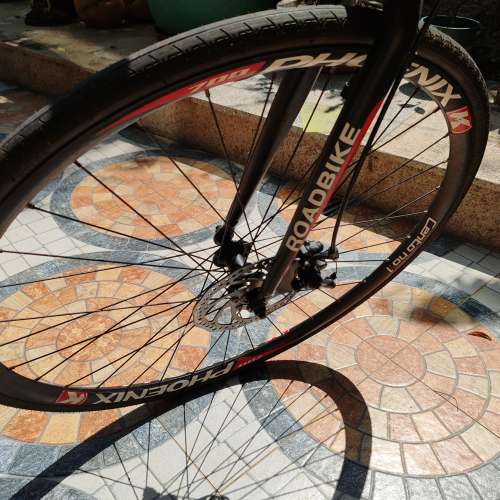 Phoenix Roadbike 平把公路車