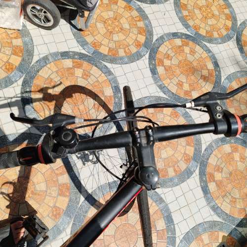 Phoenix Roadbike 平把公路車