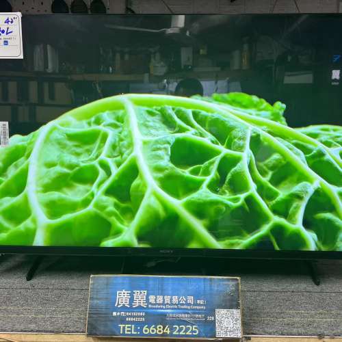 43吋 4K SMART TV Sony43X80L 上網 電視