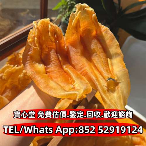 白花膠 鳘魚膠，北海母，印尼白花膠，二代石肚赤嘴膠，白花胶筒，黃花膠，金錢膠，...