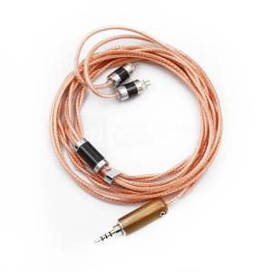 可今天面交 小議 Rhapsodio hybird 2pin 4.4