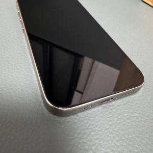 iPhone 15 Pro 256BG 銀色