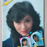 播音人  80年代 瘋魔一時電視劇集