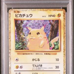 [PSA 10] 連號 比卡超 & 雷超