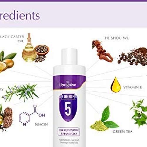 美國 Lipogaine 力魄健 Big 5 防脫髮高級有機洗髮水，適用於所有類型的男女髮質, 適...
