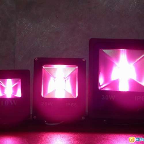 全新 LED 植物生長燈 10W-50W 採用全波段晶片 IP66 防水防塵外殼 促進植物蔬菜生長
