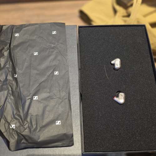 Sennheiser IE 600 + Brise ASUHA LE 升級線二手出售