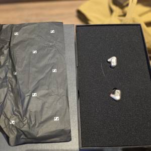 Sennheiser IE 600 + Brise ASUHA LE 升級線二手出售