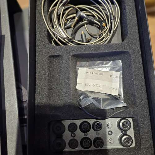 Sennheiser IE 600 + Brise ASUHA LE 升級線二手出售