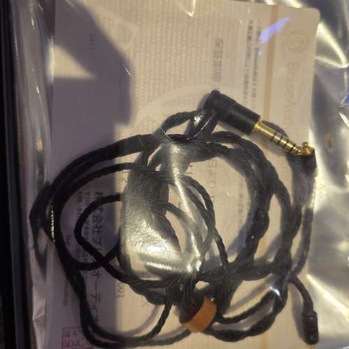 Sennheiser IE 600 + Brise ASUHA LE 升級線二手出售