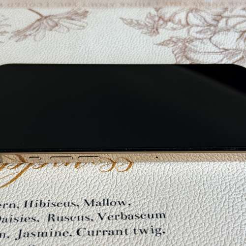 iPhone 12 Pro Max 256G金色 9成新iPhone 12 Pro Max 256GB Gold (Like New)