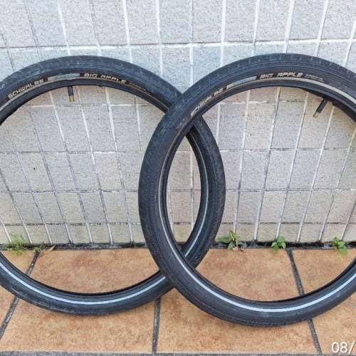 Dahon MuD9 9速20寸摺疊車