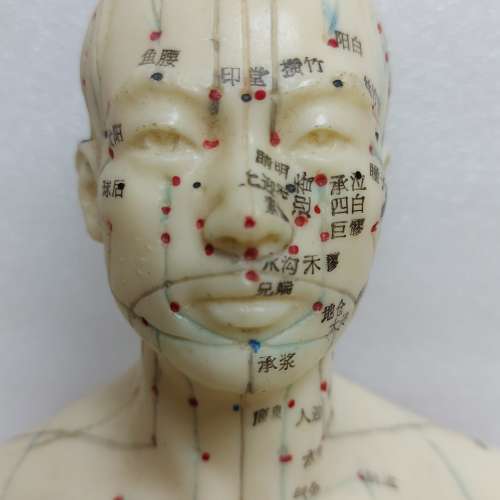針炙人體經络穴位模型
