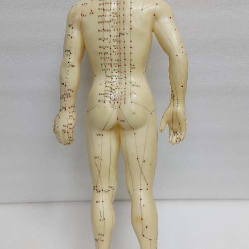 針炙人體經络穴位模型