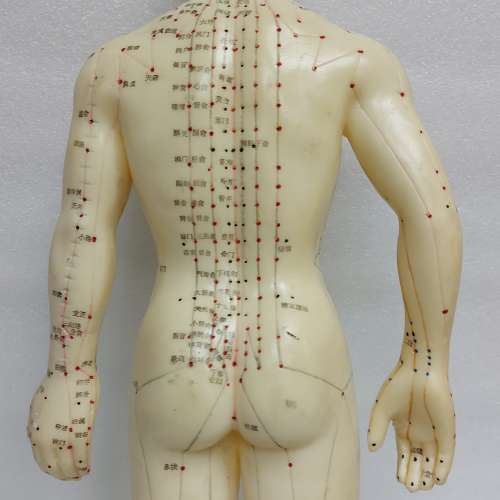 針炙人體經络穴位模型