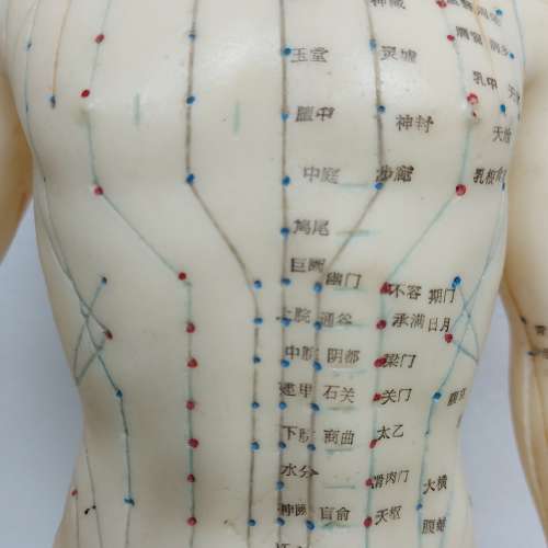 針炙人體經络穴位模型