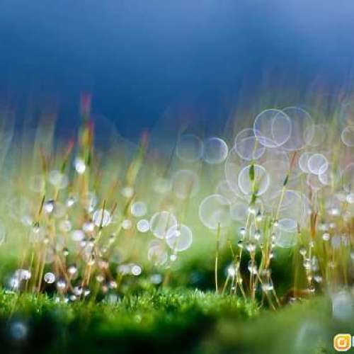 德國 Pentacon AV f2.8 80mm 泡泡散景 M42 接環 - 全片幅