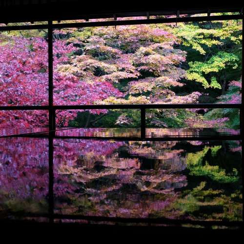 放四支原廠NIKON AF或TOKINA  AFS(NIKON 用)廣角變焦鏡=$6000(全部)