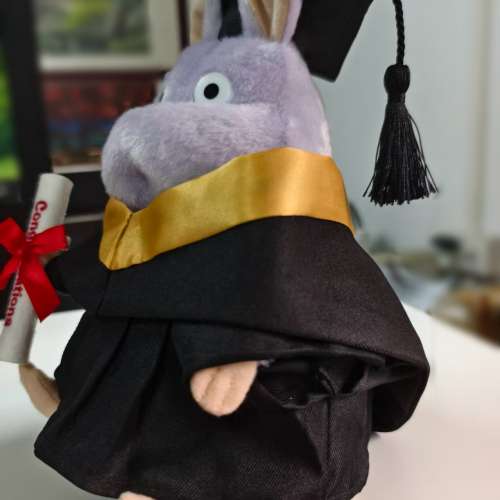 睇下文‼️【接急單】日本宮崎駿千與千尋老鼠畢業公仔 坊寶寶畢業公仔 🧸一口價包公...