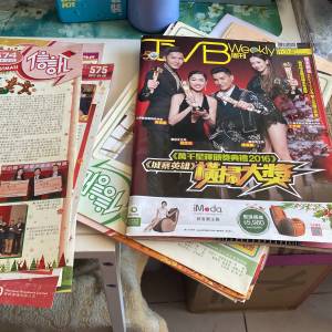 TVB Weekly 雜誌及信訊多份