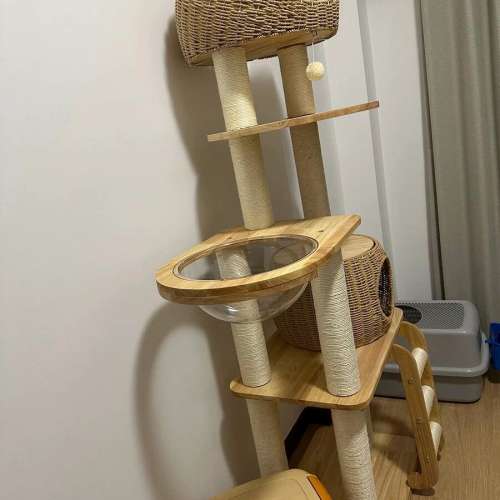 9成新貓爬架，多層設計結合劍麻貓抓柱