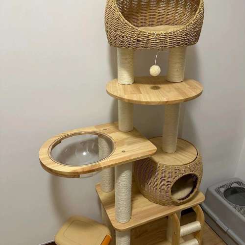 9成新貓爬架，多層設計結合劍麻貓抓柱