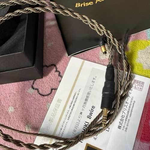 Brise audio Nishiki 8wire 十週年