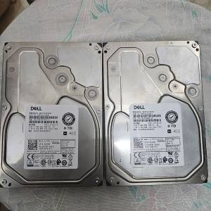 Dell 8tb sas 硬碟