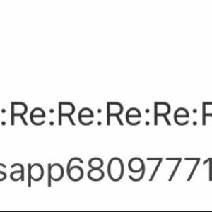 小心呢位騙子師兄。