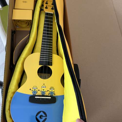 Minions 小結他