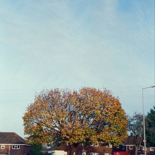 Rollei 35 S 相機 黑色機身 新加坡版 2.8光圈