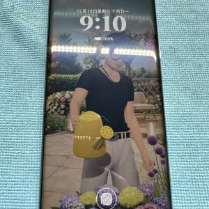 港行 Honor Magic 6 Pro 16G + 1tb  黑色