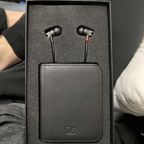 Sennheiser IE800s