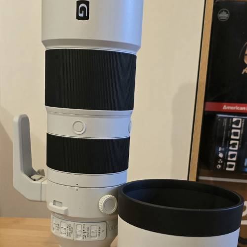 Sony Fe 200-600mm