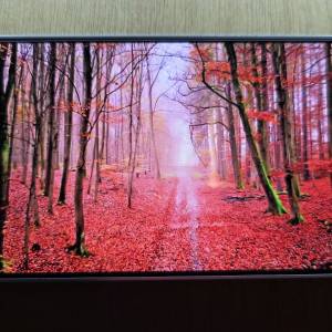 SAMSUNG S24 8+512 銀色 香港行貨 全新一樣