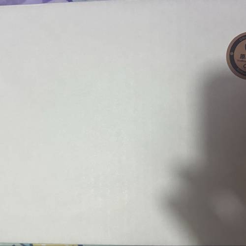 Vision Ears x DMA PHöNIX (Phonix 鳳凰） VE 鳳凰