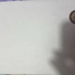 Vision Ears x DMA PHöNIX (Phonix 鳳凰） VE 鳳凰