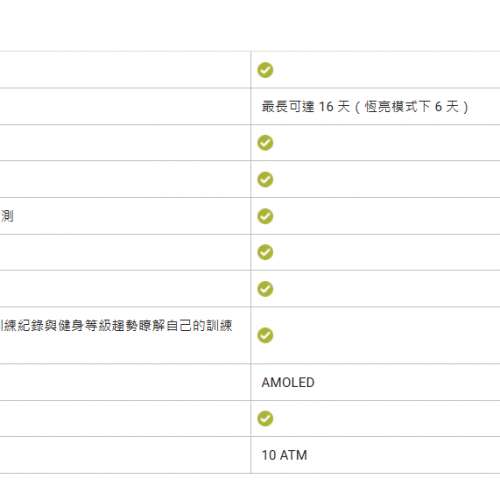 100% New 全新 Garmin Fēnix E &ndash; 47 mm, AMOLED 行貨