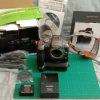 Panasonic DMC-G6H Lumix Body + 副廠直倒