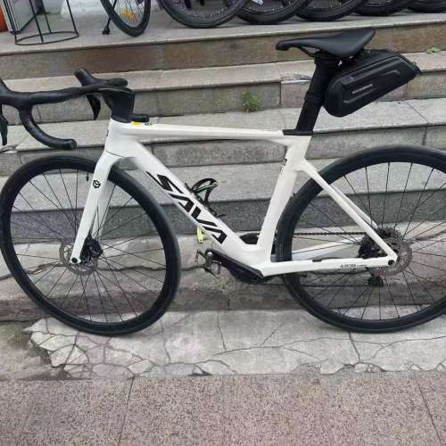 SAVA薩瓦極光R7纖維公路車 7170電子變速大套