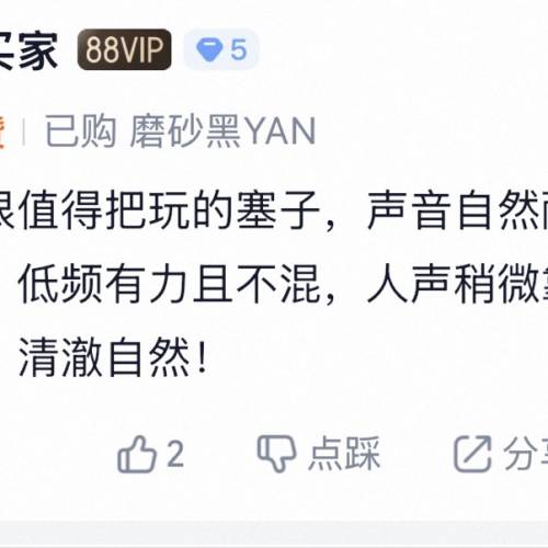 YU 9 Audio 檐YAN 入耳式动圈耳机