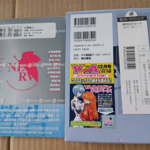 新世紀福音戰士漫畫第13卷