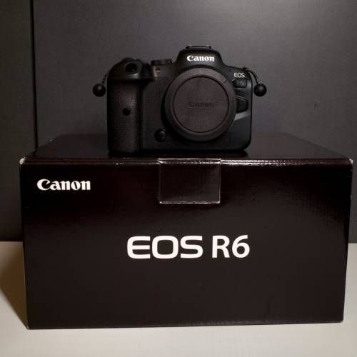 EOS R6 body