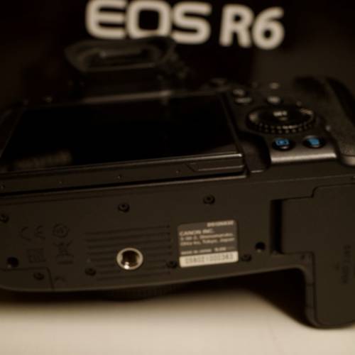 EOS R6 body
